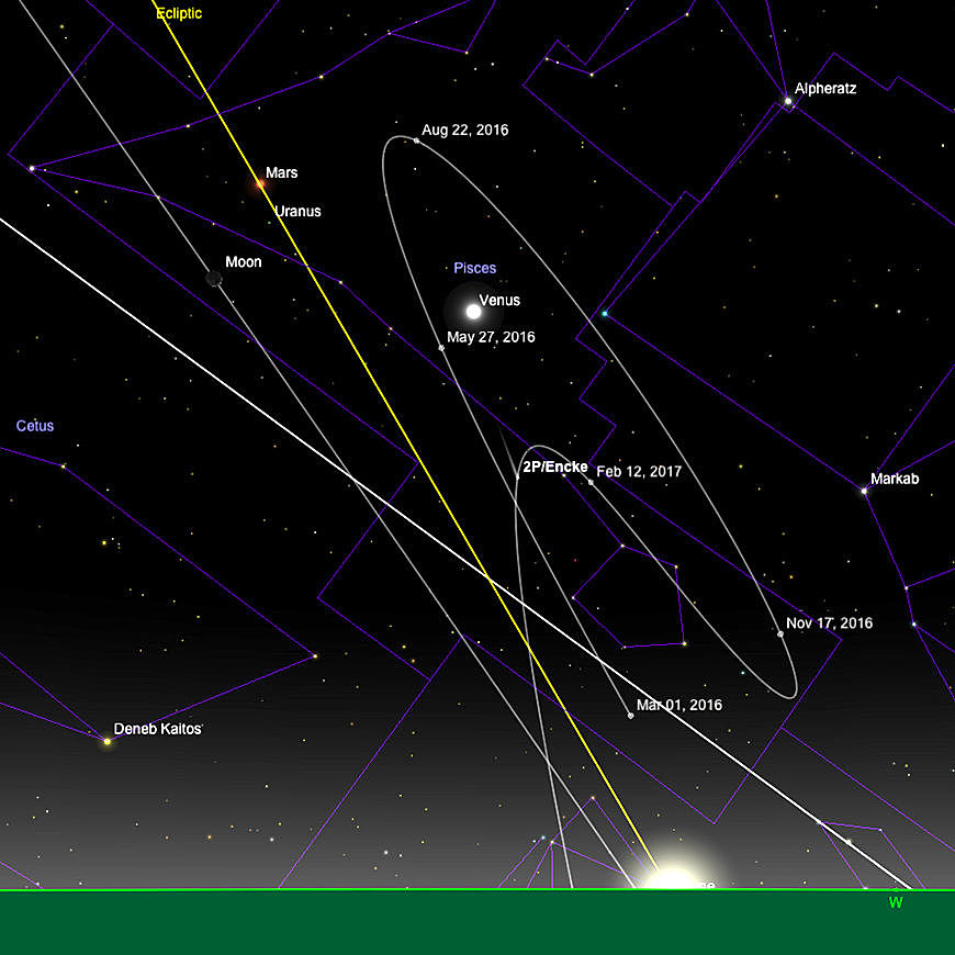 Komet 2/P Encke, seine Bahn im März 2017